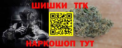 Альфа ПВП Можга