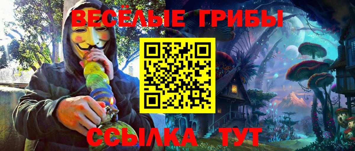 Псилоцибиновые грибы GOLDEN TEACHER Соль-Илецк